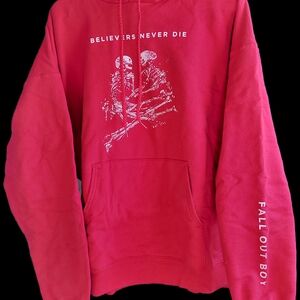 Fall Out Boy Band Merch Graphic Hoodie